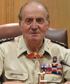 El Rey sufre una caída en un acto militar